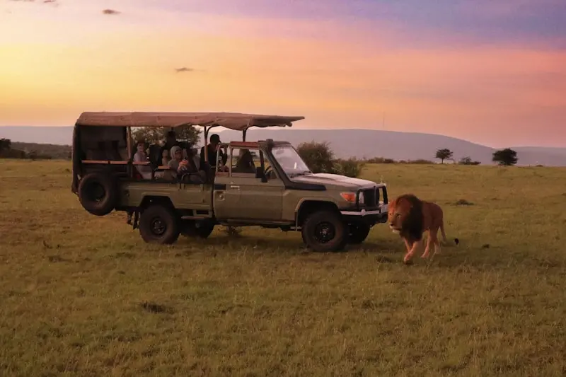 Kenya Safari Costs: Budget, Mid-Range, and Luxury Breakdown