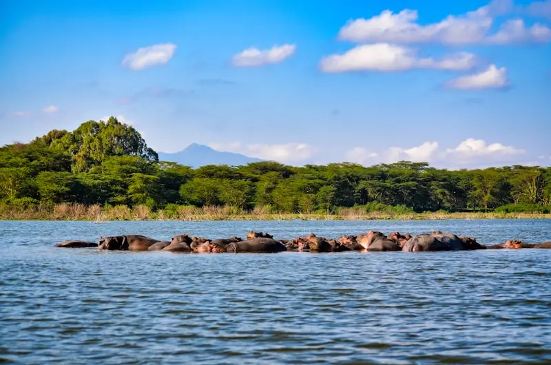 Lake Nakuru, Kenya