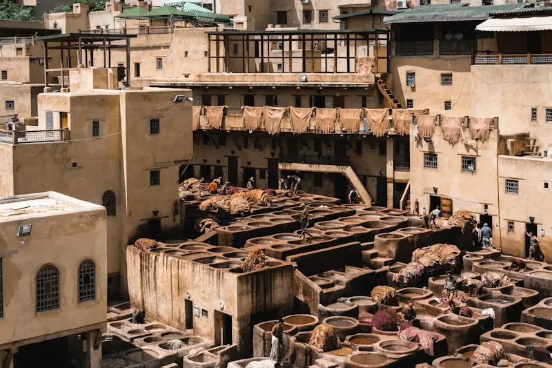 Is It Safe to Eat Near the Fes Tanneries? Finding Authentic Lunch Spots