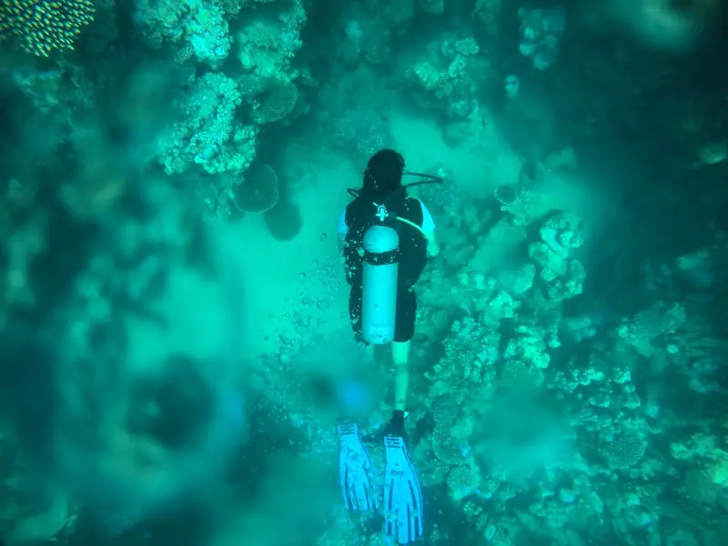 Red Sea Adventures: A 4-Day Diving & Snorkeling Itinerary in Aqaba, Jordan.