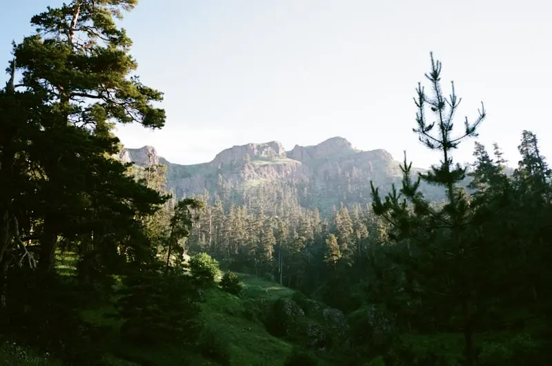 Beyond the Park: Discovering Borjomi’s Likani District (History, Hikes &amp; Hidden Gems)