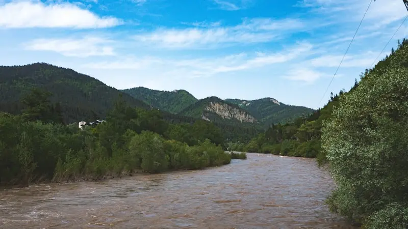 Borjomi’s Best Short Hikes: Trails Under 3 Hours for Every Fitness Level