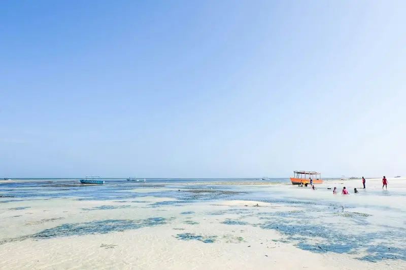 Malindi Beach Scene Guide: From Watamu Day Trips to Nightlife Strips