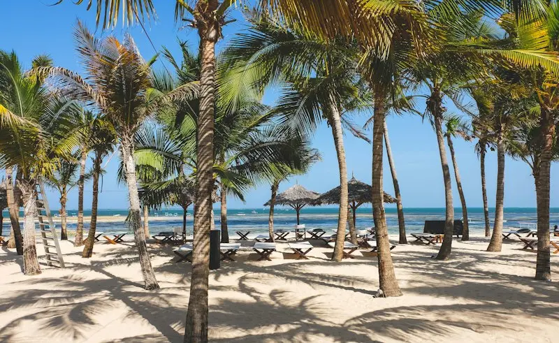 Malindi’s Marine National Park & Reef Diving Guide
